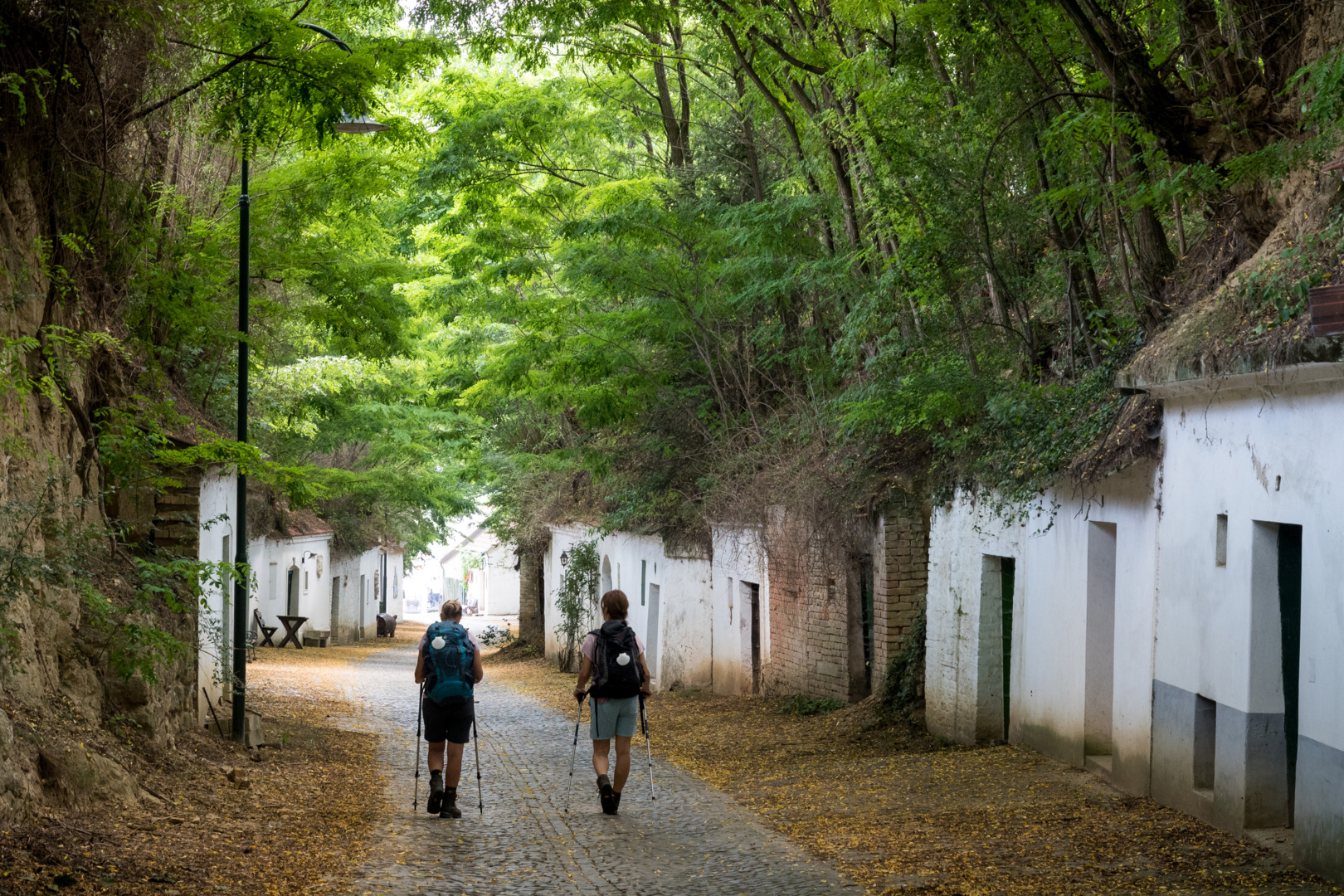 Pilgern durch die Kellergasse von Poysdorf © Mandl