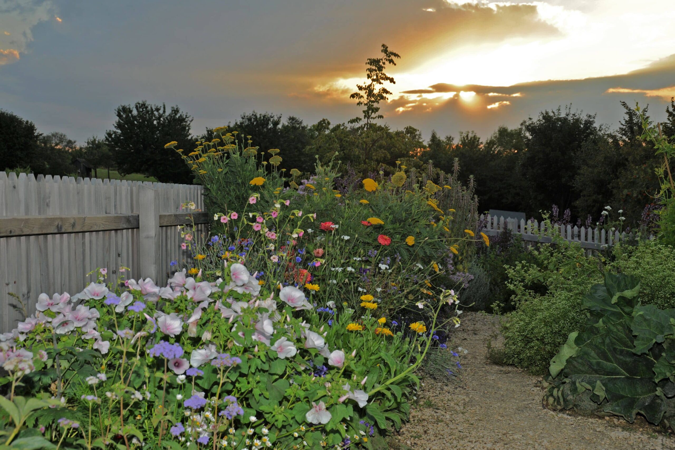 Gartensommer bei Vollmond in Niedersulz. Foto: Dietmar Bodensteiner-scaled.jpg