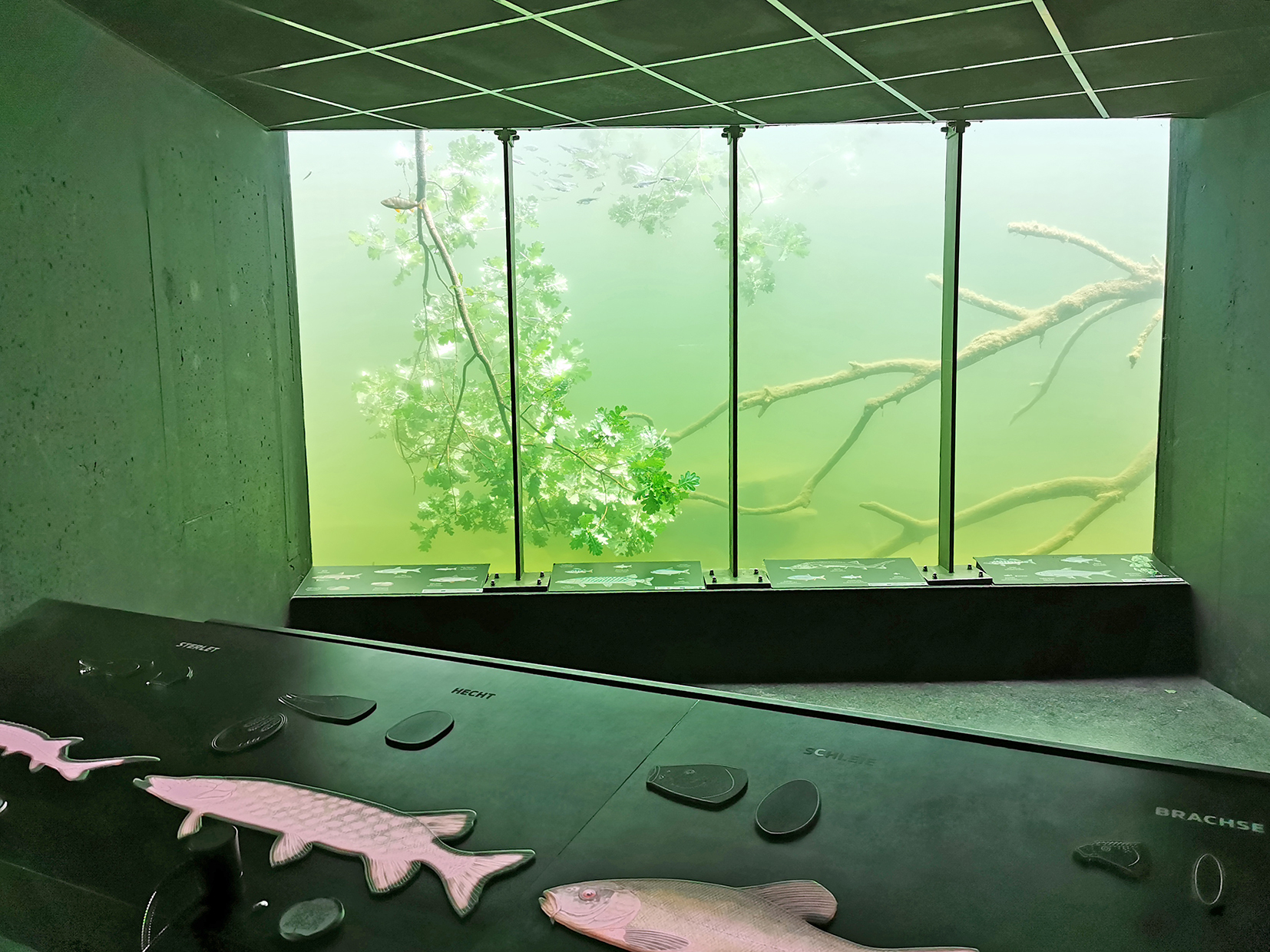 Die Unterwasserstation auf der Schlossinsel. Foto: Dorn