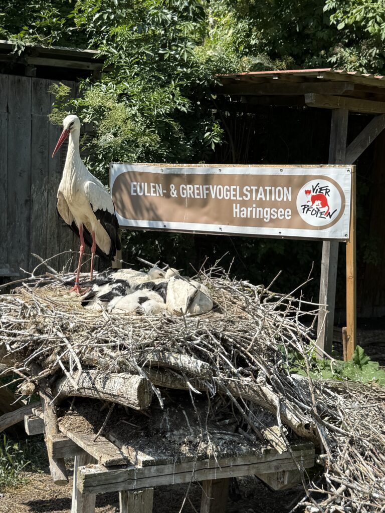 Stolze Storcheneltern