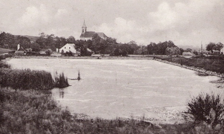 Orth