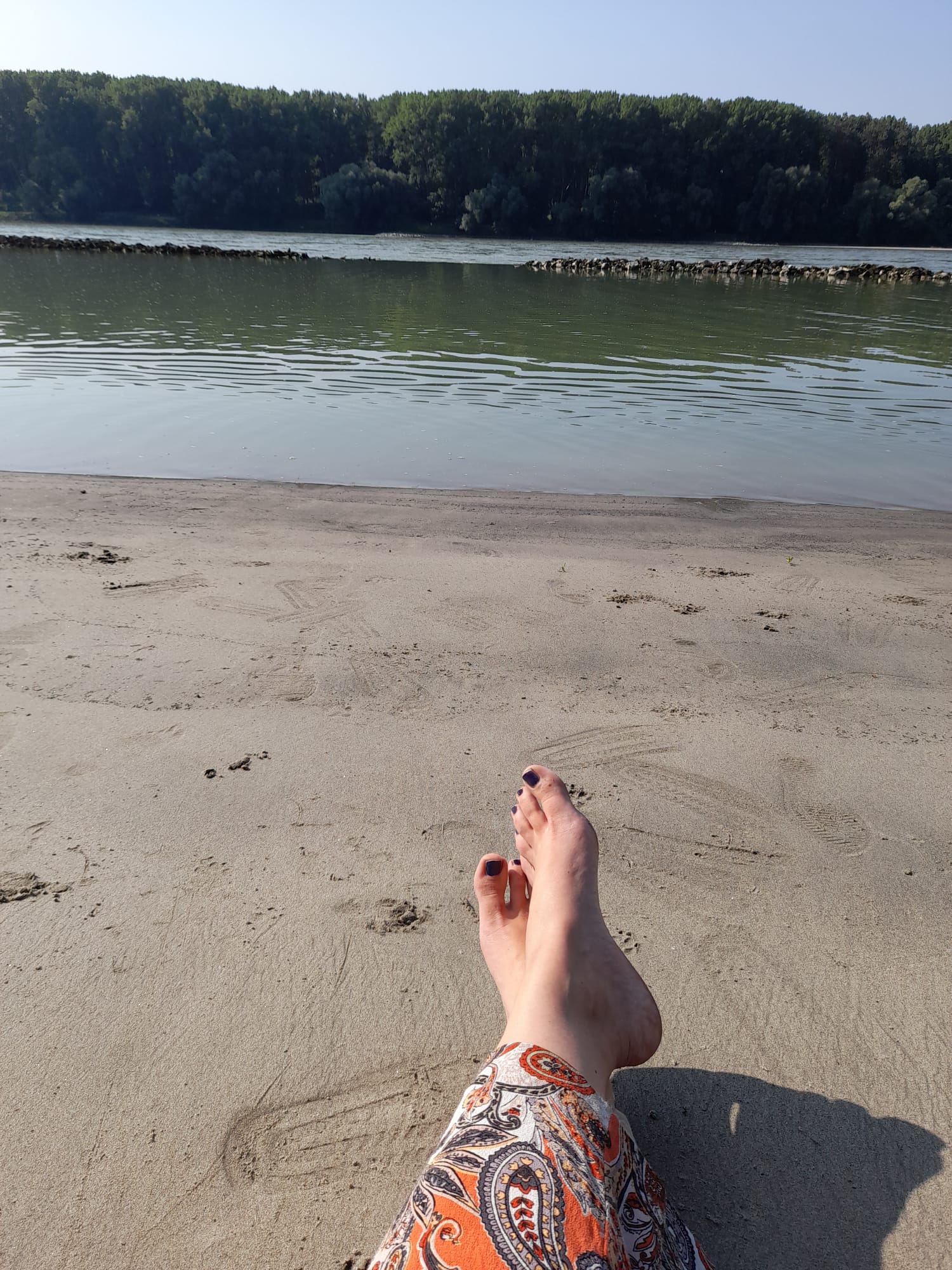 Einer meiner Lieblingsorte, um ganz bei mir zu sein, sind die Orther Inseln im Nationalpark Donau-Auen.