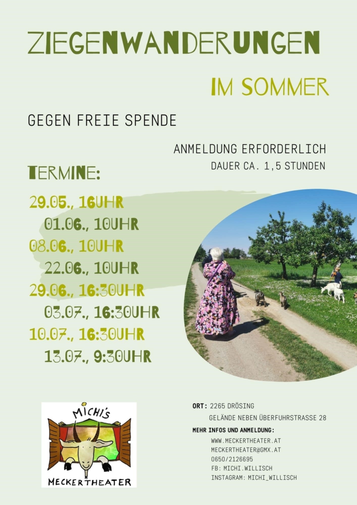 Ziegenwanderungen im Sommer in Drösing.