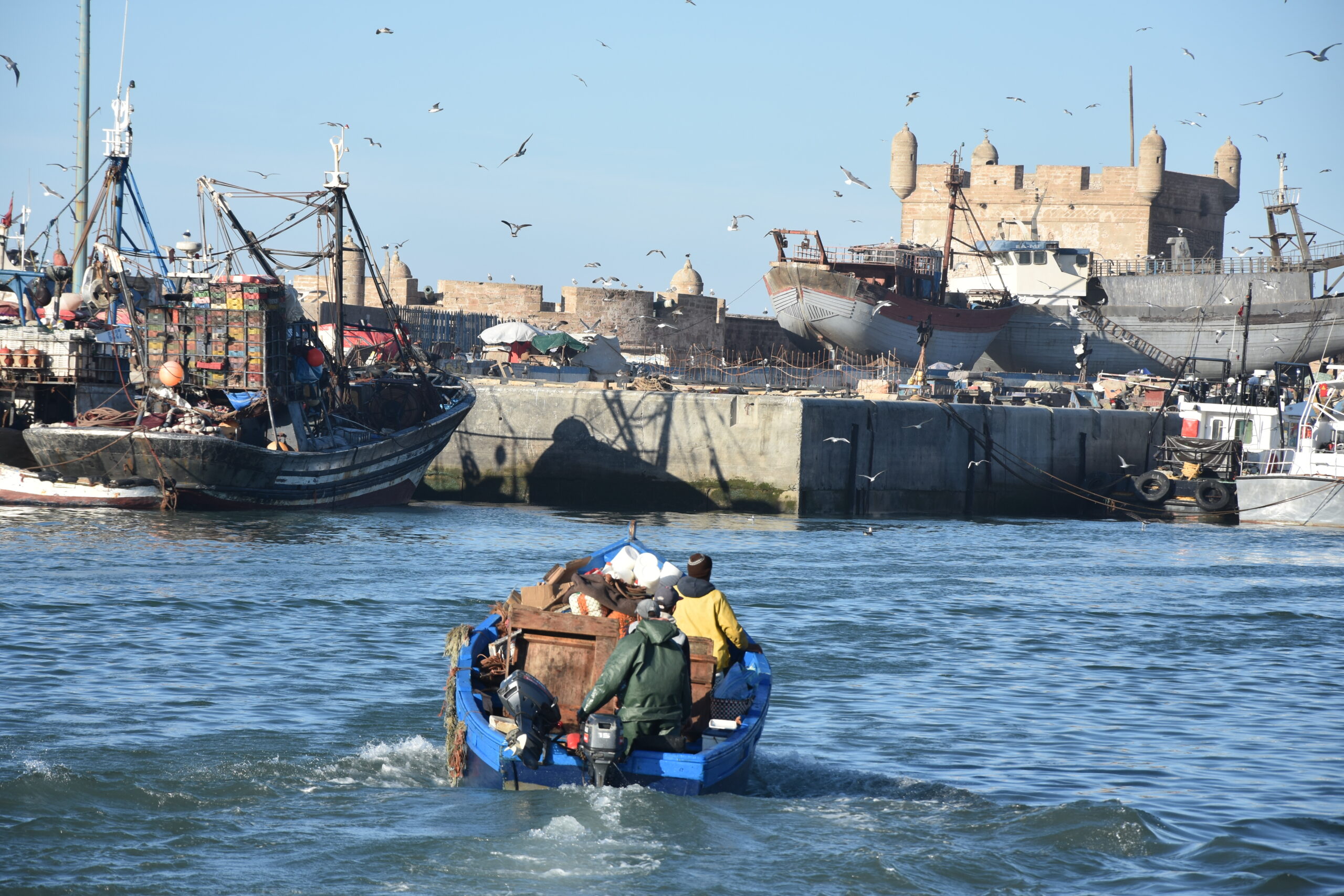 An der afrikanischen Küste. © U. Potmesil