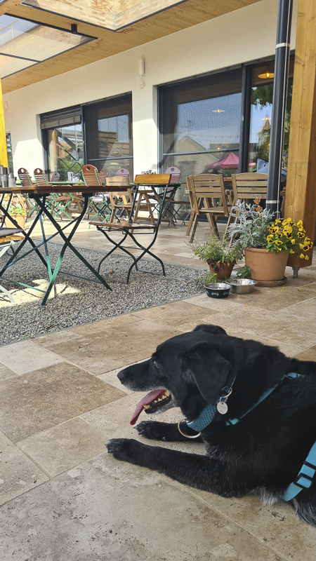Coffee im Garten der Bauernspeis. Ein gemütlicher Platz für alle.