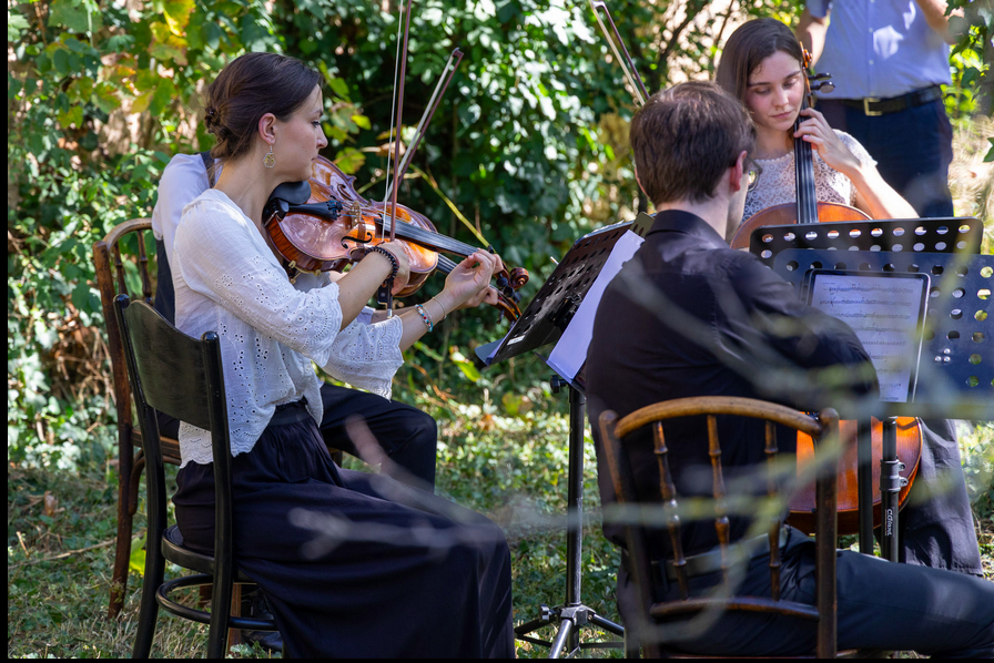 22 Höfe werden in diesem Jahr in Groß-Enzersdorf bespielt. © Michael Vogt