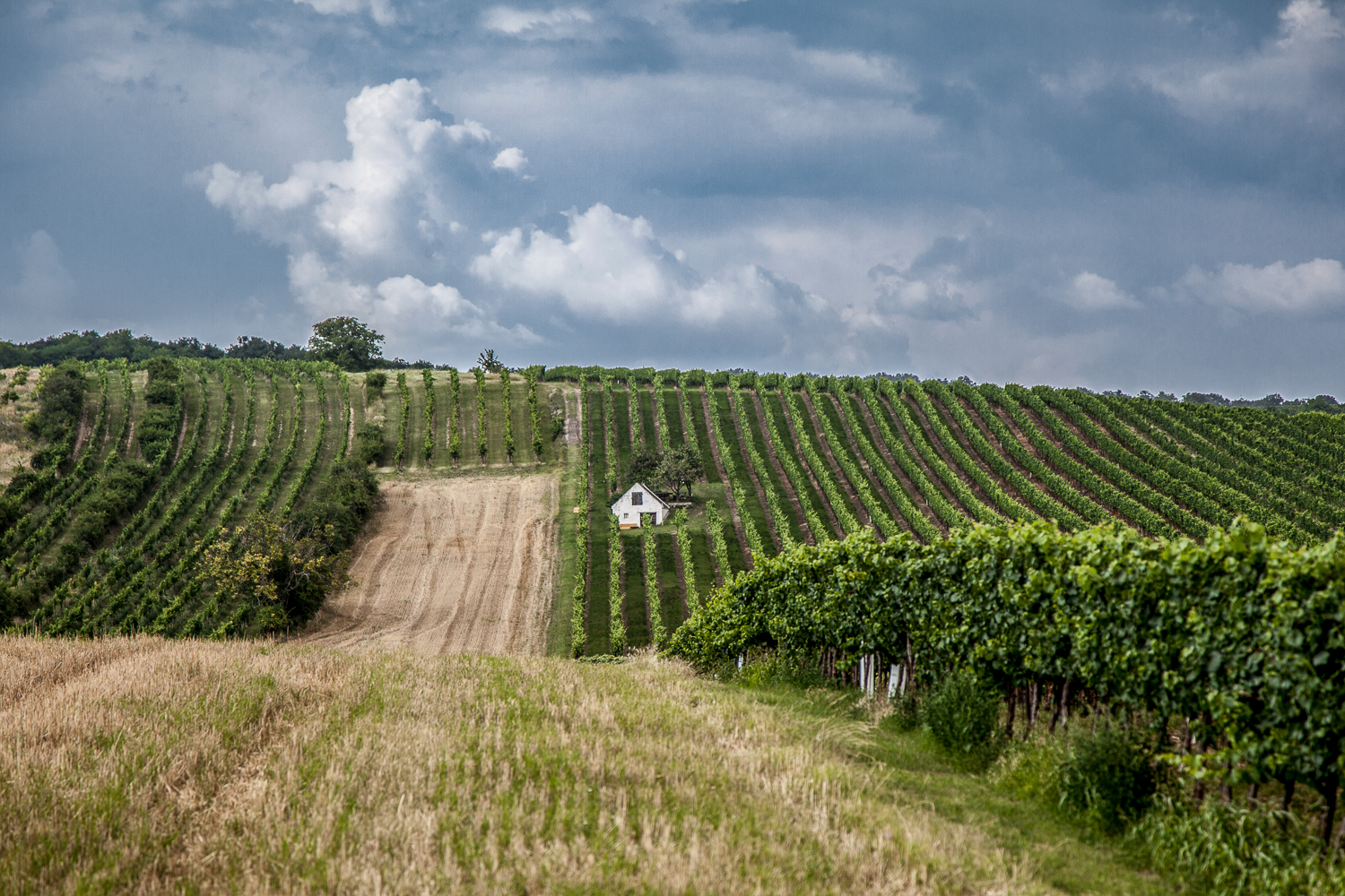 Kleinhadersdorf – ein Ort, zum Sterben schön. @ Regina Courtier