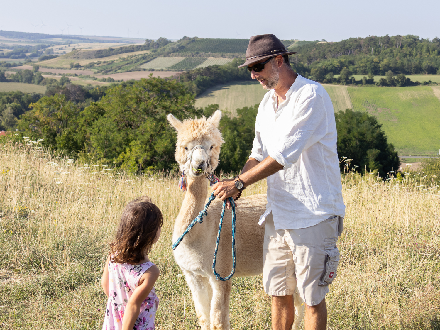 Alpakawanderung mit Andres Widhalm aus Riedenthal. Ein Erlebnis für jung und alt. Weinviertel-Ramasuri berichtet.