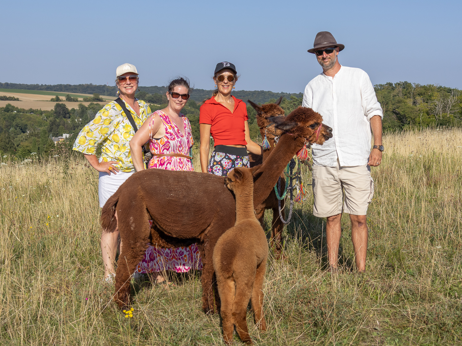 Alpakawanderung mit Andreas Widhalm. Das Redaktionsteam Regina, Elisabeth und Ulli haben sichtlich Spaß an diesem abenteuerlichen Betriebsausflug in Riedenthal.