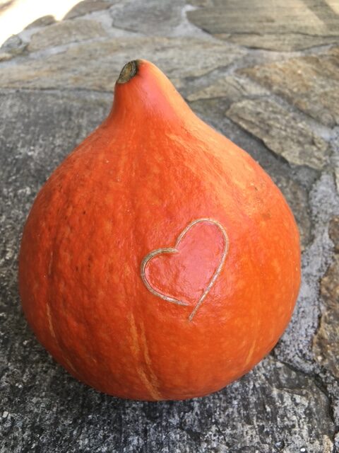 Mit dem Kürbis begann die berufliche Kulinarik-Reise von Heide Strobl. © Heidi Strobl