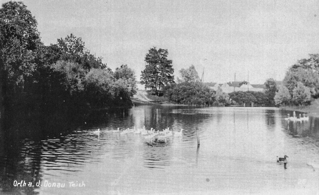 Die Faden, oder der Fadenbach, Orth an der Donau, Ilse Windisch, Nationalpark-Donauauen, Schlossinsel, Topothek, Dotierung, Donauarm, Mühldumpf.