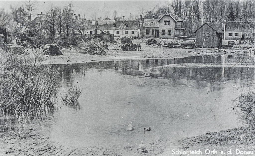 Die Faden, oder der Fadenbach, Orth an der Donau, Ilse Windisch, Nationalpark-Donauauen, Schlossinsel, Topothek, Dotierung, Donauarm, Mühldumpf.