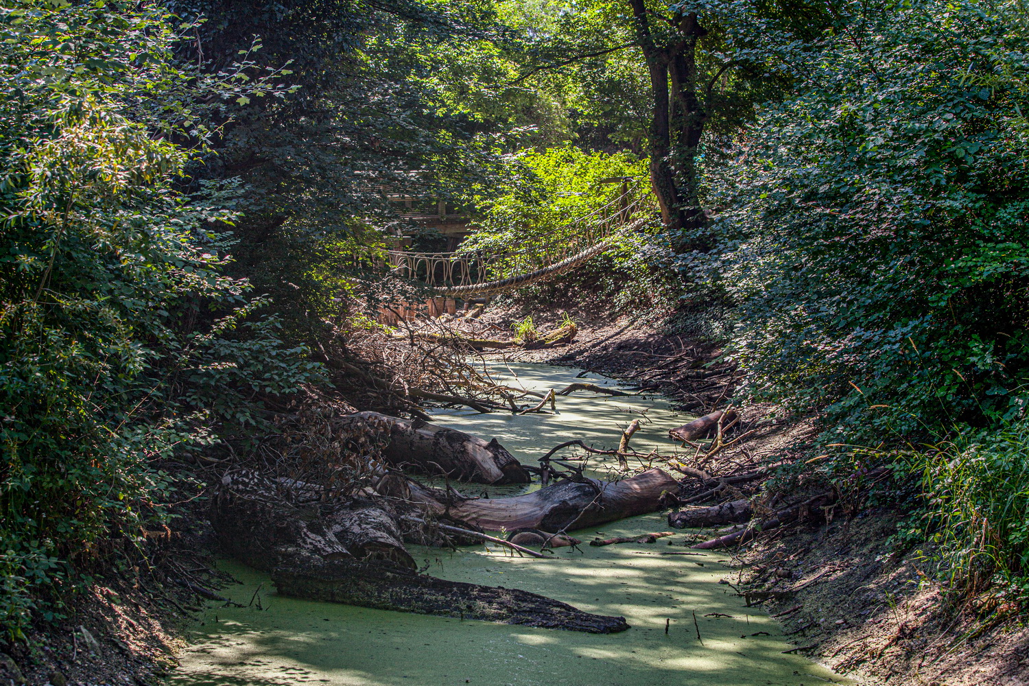 © Regina Courtier. Die Faden, oder der Fadenbach, Orth an der Donau, Ilse Windisch, Nationalpark-Donauauen, Schlossinsel, Topothek, Dotierung, Donauarm, Mühldumpf.