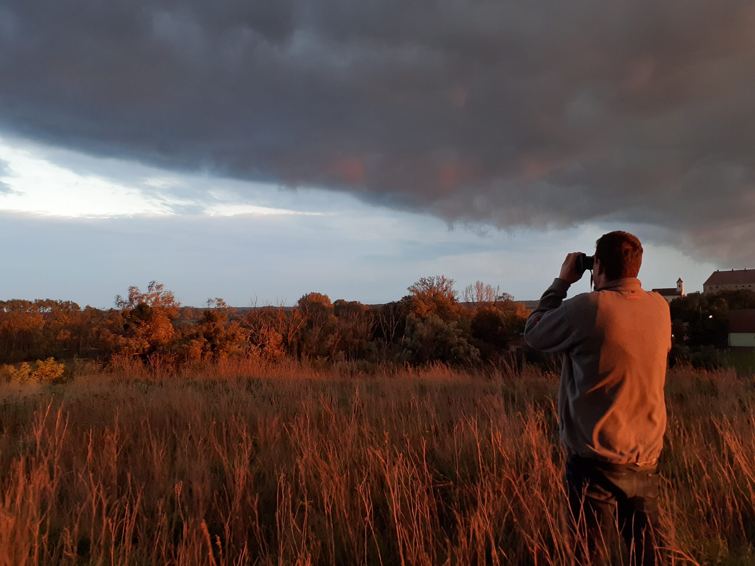Ornithologe Rainer Raab © Franz Kovacs