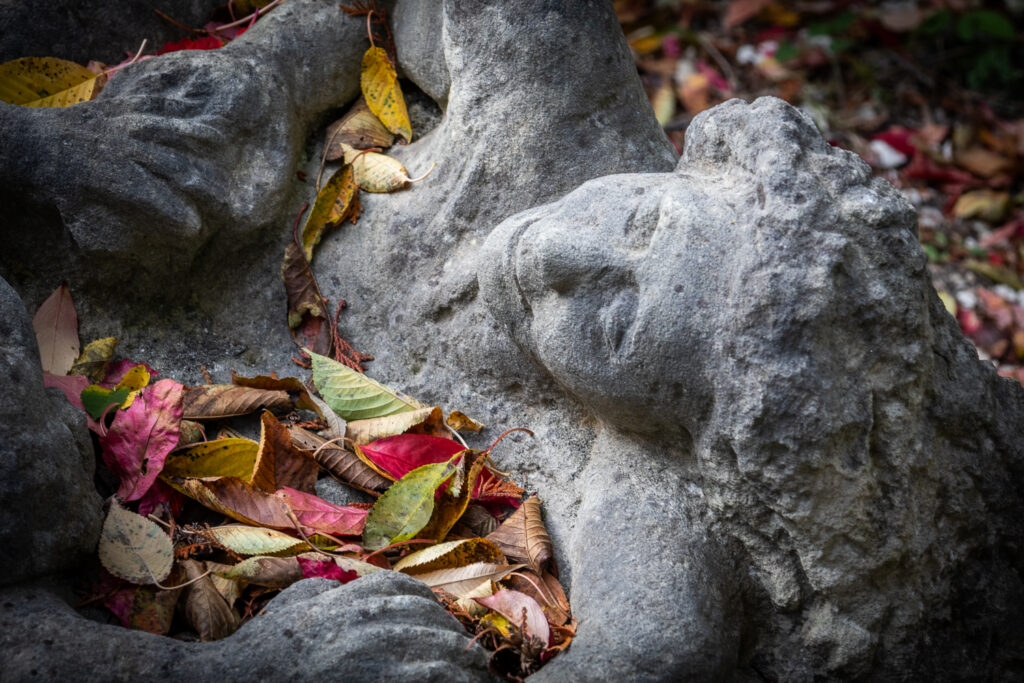 Tage der offenen Ateliers, Kunst berühren, Möglickeiten eröffnen, Kreativität spüren
Mit Harry Raab, Margit Stuckart, Eveline Slunsky, Cornelia Felkl-Ederer, Walpurga und Isabella Freudhofmaier, Nicole Bendl, Karl Pernold. Oberkreuzstetten, Niederleis, Nodendorf.