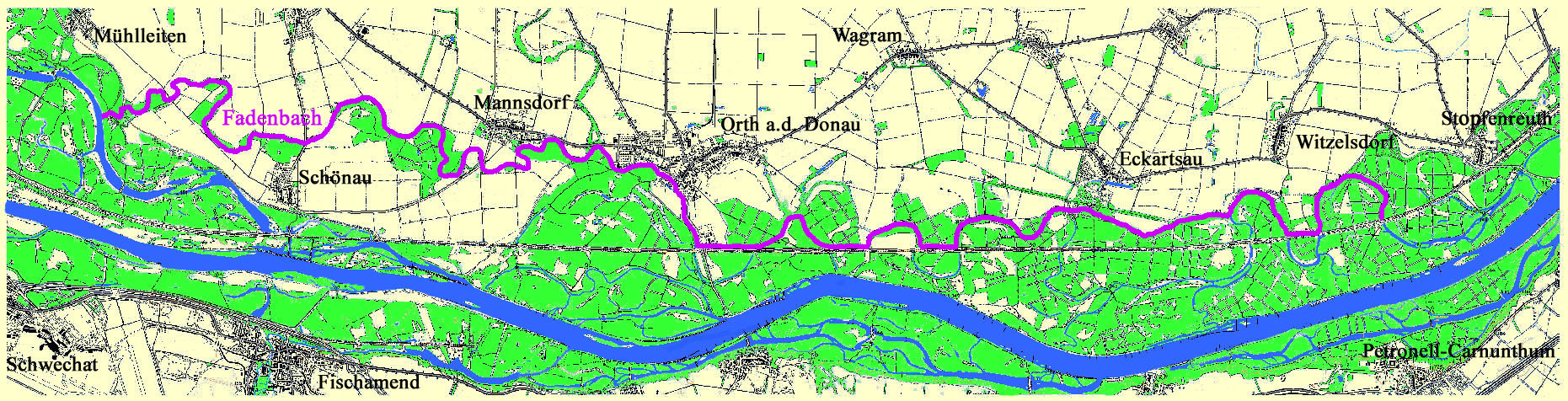 Der Verlauf des Fadenbaches in lila. Eingezeichnet von ©Heinz Mooss.
Die Faden, oder der Fadenbach, Orth an der Donau, Ilse Windisch, Nationalpark-Donauauen, Schlossinsel, Topothek, Dotierung, Donauarm, Mühldumpf.