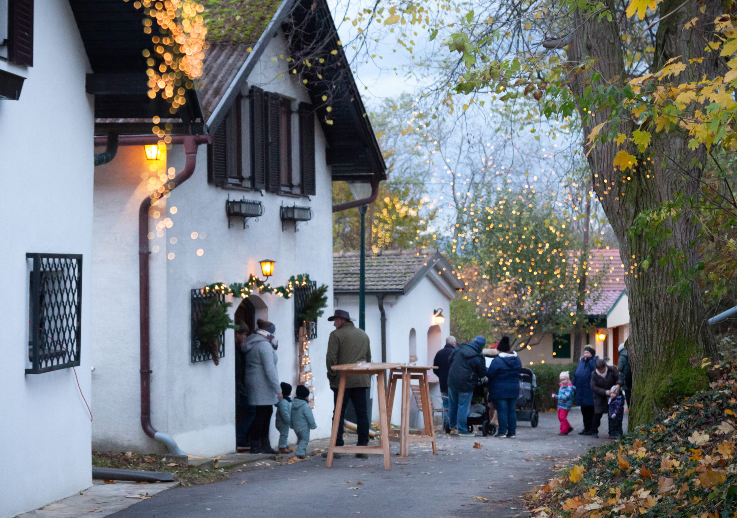 Zwischen Urzeit und Weihnachtszauber: Advent in der Stillfrieder Kellergasse