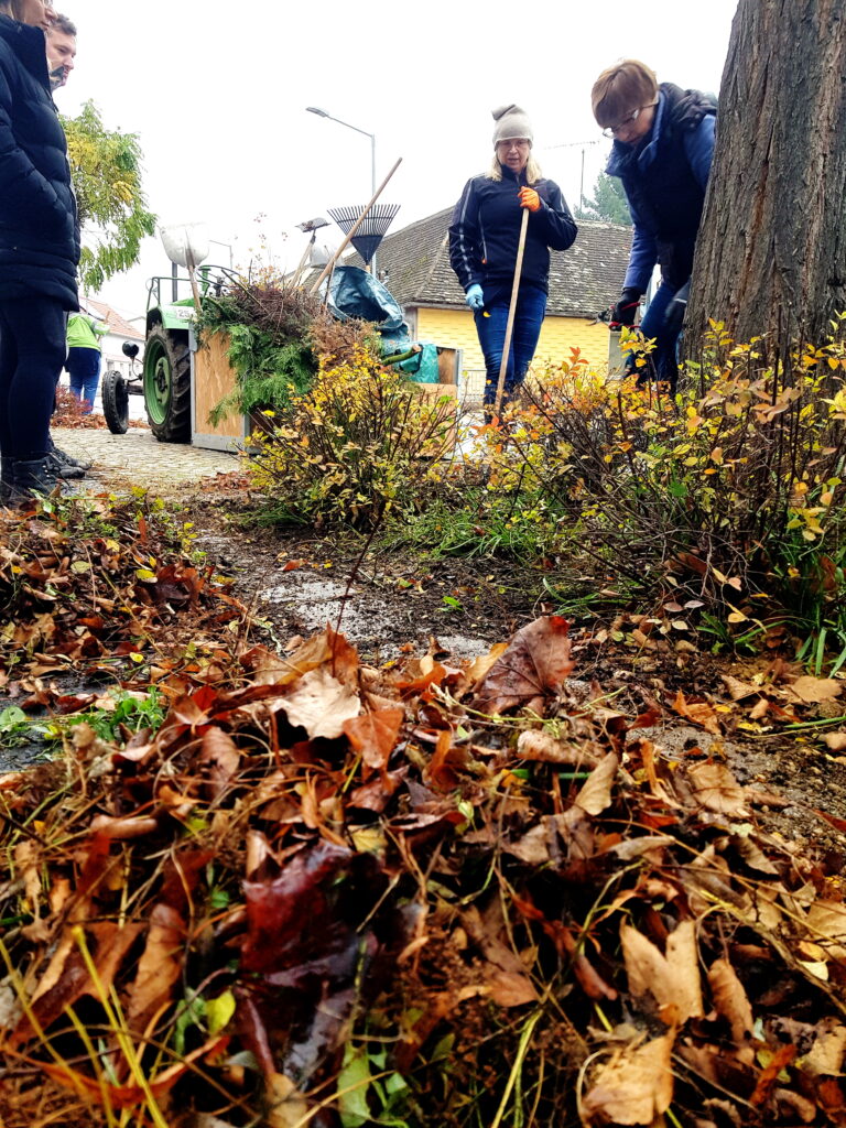 Lawa rama tama, Eichenbrunn, Michael Staribacher, Laub, Dorferneuerungsverein Eichenbrunn, Laub rechen, Herbstlaub.