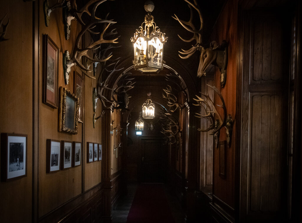 Kaiserin Zita, Kaiser Karl I, Schloss Eckartsau, Weihnachtsführung, Bundesforste, Adventmarkt, Eckartsau, Die Habsburger, Weinviertel-Remasuri, Credits: ©Regina Courtier