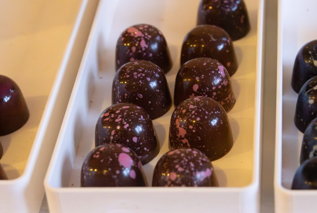 Weihnachtsmarkt Weingut Regner, Traunfeld, Hochleithen, Formfrei, Kunsthandwerk, Christbaumverkauf, Weinverkauf, Anna Regner, Familie Regner, Advent 2025, Tischlermeister, Lukas Regner, Mathias Regner, Josef Regner © Regina Courtier