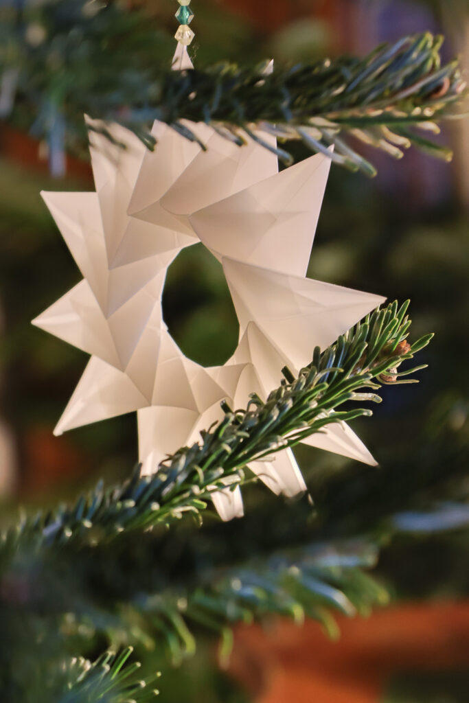 Weihnachtsmarkt Weingut Regner, Traunfeld, Hochleithen, Formfrei, Kunsthandwerk, Christbaumverkauf, Weinverkauf, Anna Regner, Familie Regner, Advent 2025, Tischlermeister, Lukas Regner, Mathias Regner, Josef Regner © Regina Courtier