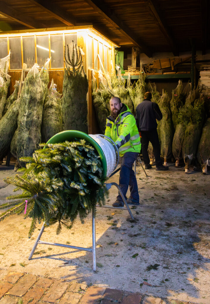 Weihnachtsmarkt Weingut Regner, Traunfeld, Hochleithen, Formfrei, Kunsthandwerk, Christbaumverkauf, Weinverkauf, Anna Regner, Familie Regner, Advent 2025, Tischlermeister, Lukas Regner, Mathias Regner, Josef Regner © Regina Courtier