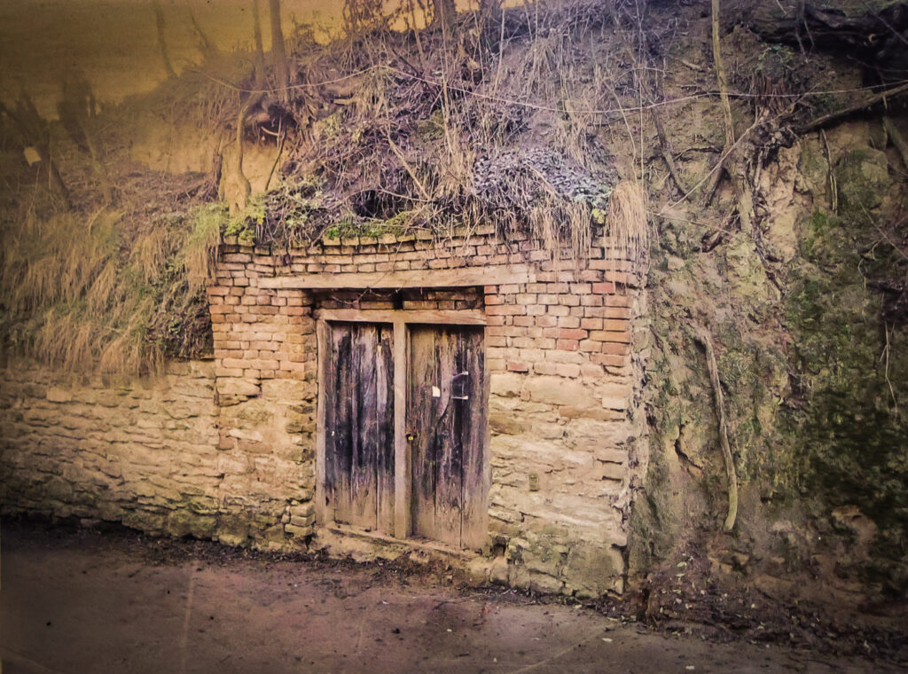 Kellergasse Hautzendorf, Joschi Schäfer, Kellergassenführer, Weinkeller, Weinviertel-Remasuri, Keller-Revitalisierung, Kellergassenfest, Trio Weltlin, Kreuttal, ©Regina Courtier