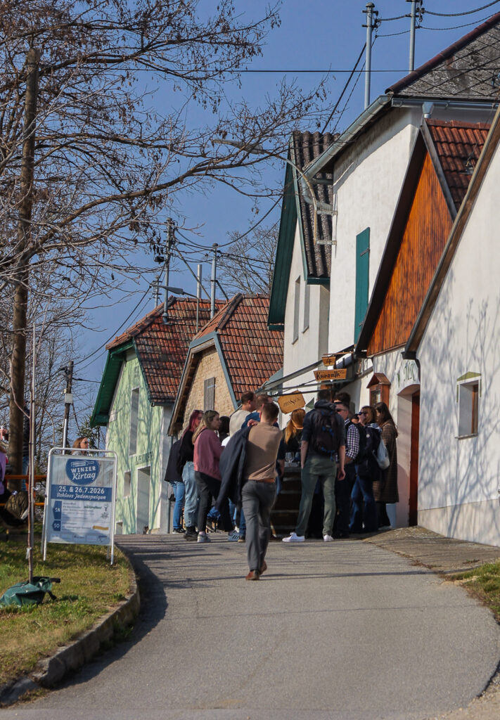 Jedenspeigen, Sierndorf, Jungweinschnuppern, Jahrgang 2025, Kellergasse, Winzer, Jungweinschnuppern 2026, Weinkeller, Köllagossn, Weinkölla, Weinviertel-Remasuri, ©Regina Courtier