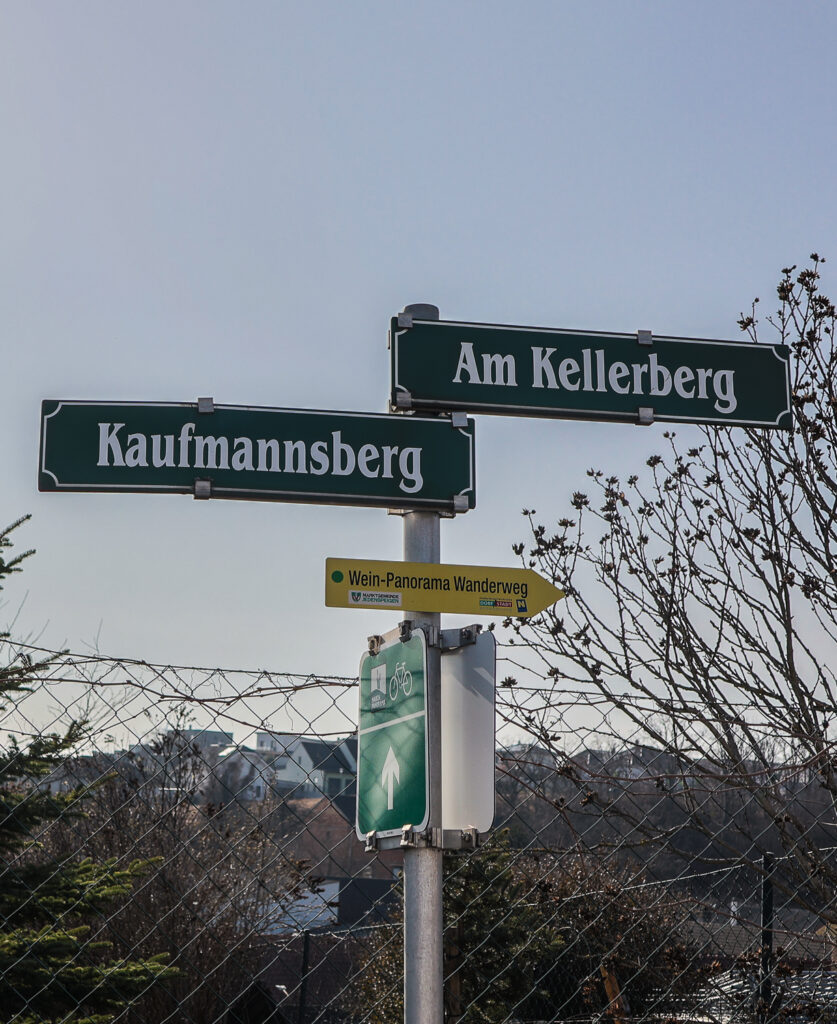Jedenspeigen, Sierndorf, Jungweinschnuppern, Jahrgang 2025, Kellergasse, Winzer, Jungweinschnuppern 2026, Weinkeller, Köllagossn, Weinkölla, Weinviertel-Remasuri, ©Regina Courtier