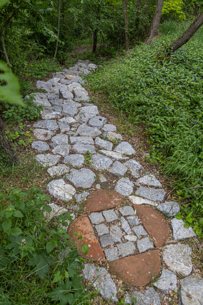 © Regina Courtier, Kraftplatz, Zauberwald, Wartberg, Bad Pirawarth, Marion Szedlacsek, Bernhard Schausberger, Künstlerin, Andrea Grames, Weinviertel-Remasuri