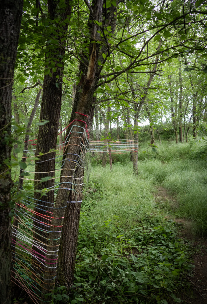 © Regina Courtier, Kraftplatz, Zauberwald, Wartberg, Bad Pirawarth, Marion Szedlacsek, Bernhard Schausberger, Künstlerin, Andrea Grames, Weinviertel-Remasuri