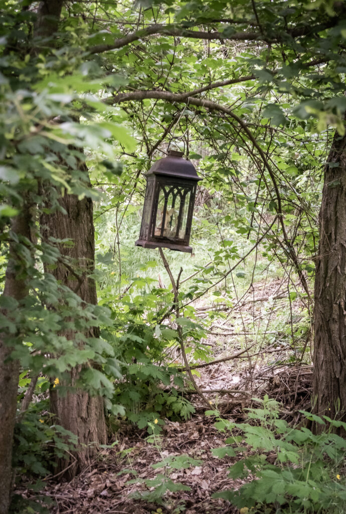 © Regina Courtier, Kraftplatz, Zauberwald, Wartberg, Bad Pirawarth, Marion Szedlacsek, Bernhard Schausberger, Künstlerin, Andrea Grames, Weinviertel-Remasuri