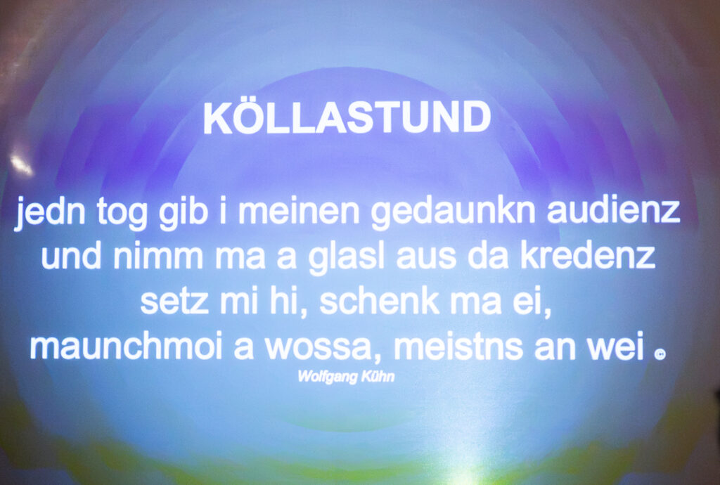 ©Regina Courtier, Kellergasse, Pillichsdorf, Weinviertler-Kellerleben, Wolfgang Paar, Johannes Rieder, Florian Faber, Markus Lauda, Kellergassenleben, Weinviertel, Weinviertel-Remasuri, Buchpräsentation, Edition Winkler-Hermaden.