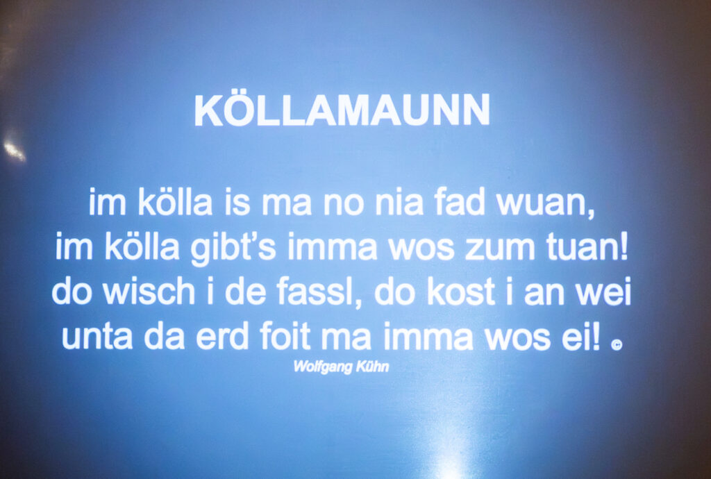 ©Regina Courtier, Kellergasse, Pillichsdorf, Weinviertler-Kellerleben, Wolfgang Paar, Johannes Rieder, Florian Faber, Markus Lauda, Kellergassenleben, Weinviertel, Weinviertel-Remasuri, Buchpräsentation, Edition Winkler-Hermaden.