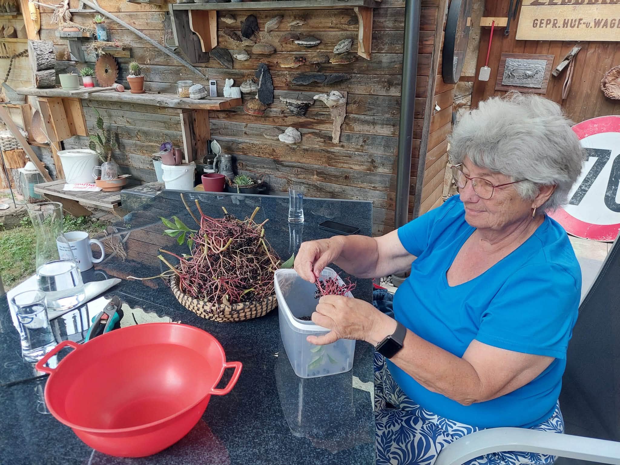 © Gerda Zipfelmayer Weinviertel-Remasuri Stockerau Rezept des Monats Holler Holunderbeeren Holunder Hokazi Hollertraum Holler-Apfel-Gelee Hollerschatz