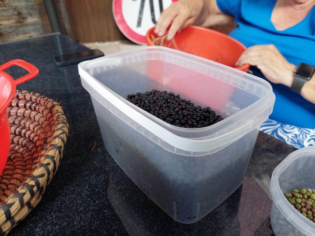 © Gerda Zipfelmayer
Weinviertel-Remasuri
Stockerau
Rezept des Monats
Holler
Holunderbeeren
Holunder
Hokazi
Hollertraum
Holler-Apfel-Gelee
Hollerschatz