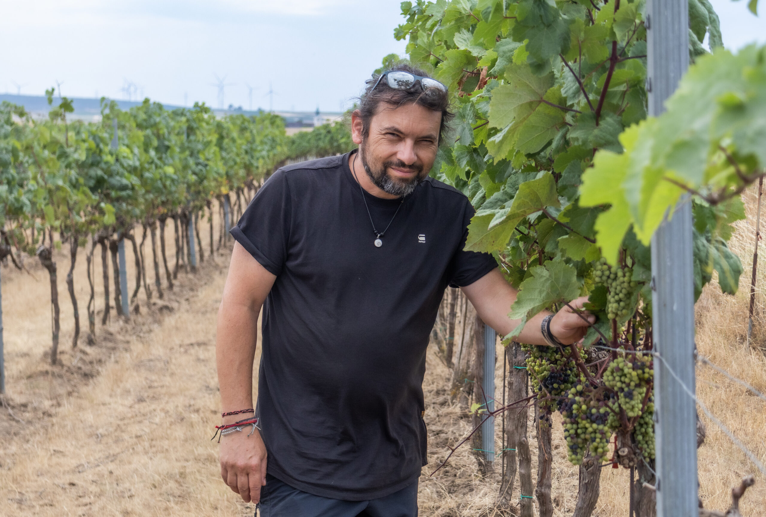 © Regina Courtier Weinviertel Remasuri Bioweingut Johannes Zillinger Bioimker Jürgen Koch Biohof Bubenicek Meiberger Edlinger Erdbeeren Adamah Marchfelder Storchenbräu Weinviertel Genusstour 2026 Bezirk Gänserndorf Weinviertel Tourismus