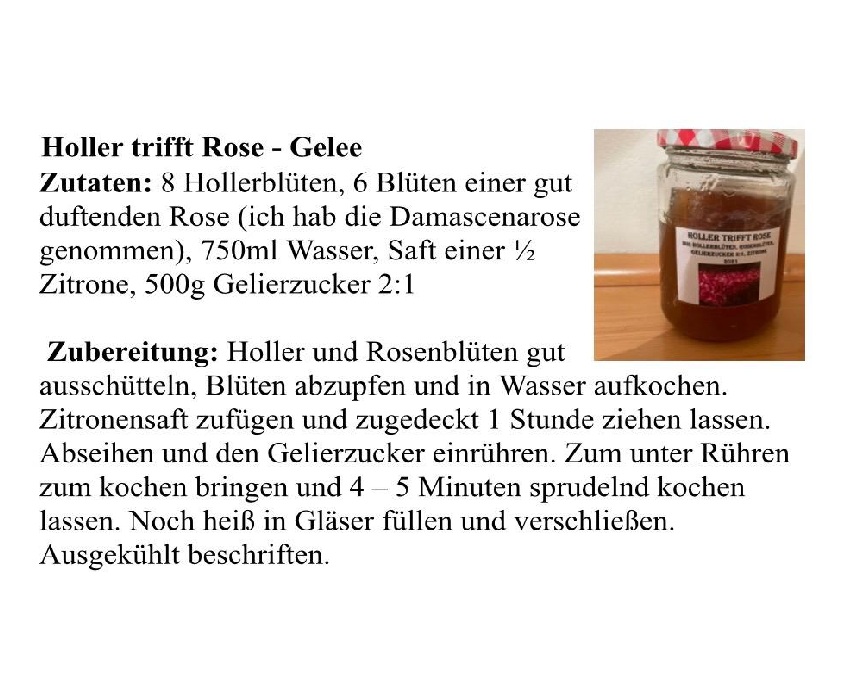 © Gerda Zipfelmayer
Weinviertel-Remasuri
Stockerau
Rezept des Monats
Holler
Holunderbeeren
Holunder
Hokazi
Hollertraum
Holler-Apfel-Gelee
Hollerschatz