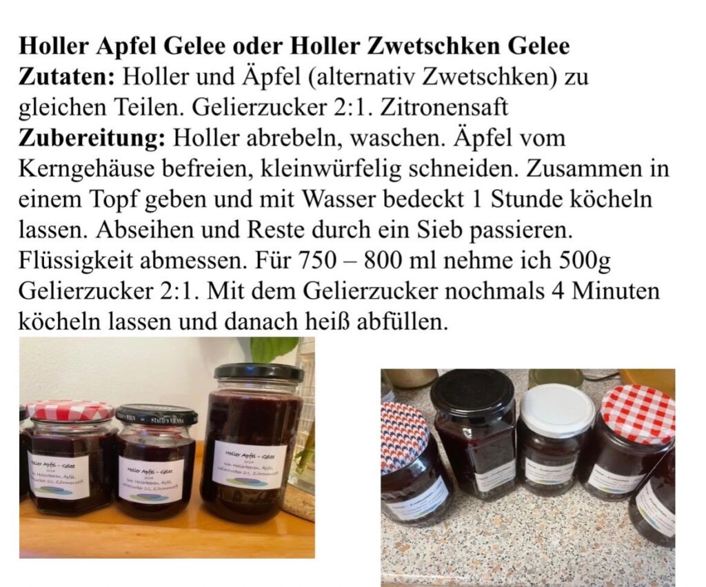 © Gerda Zipfelmayer
Weinviertel-Remasuri
Stockerau
Rezept des Monats
Holler
Holunderbeeren
Holunder
Hokazi
Hollertraum
Holler-Apfel-Gelee
Hollerschatz