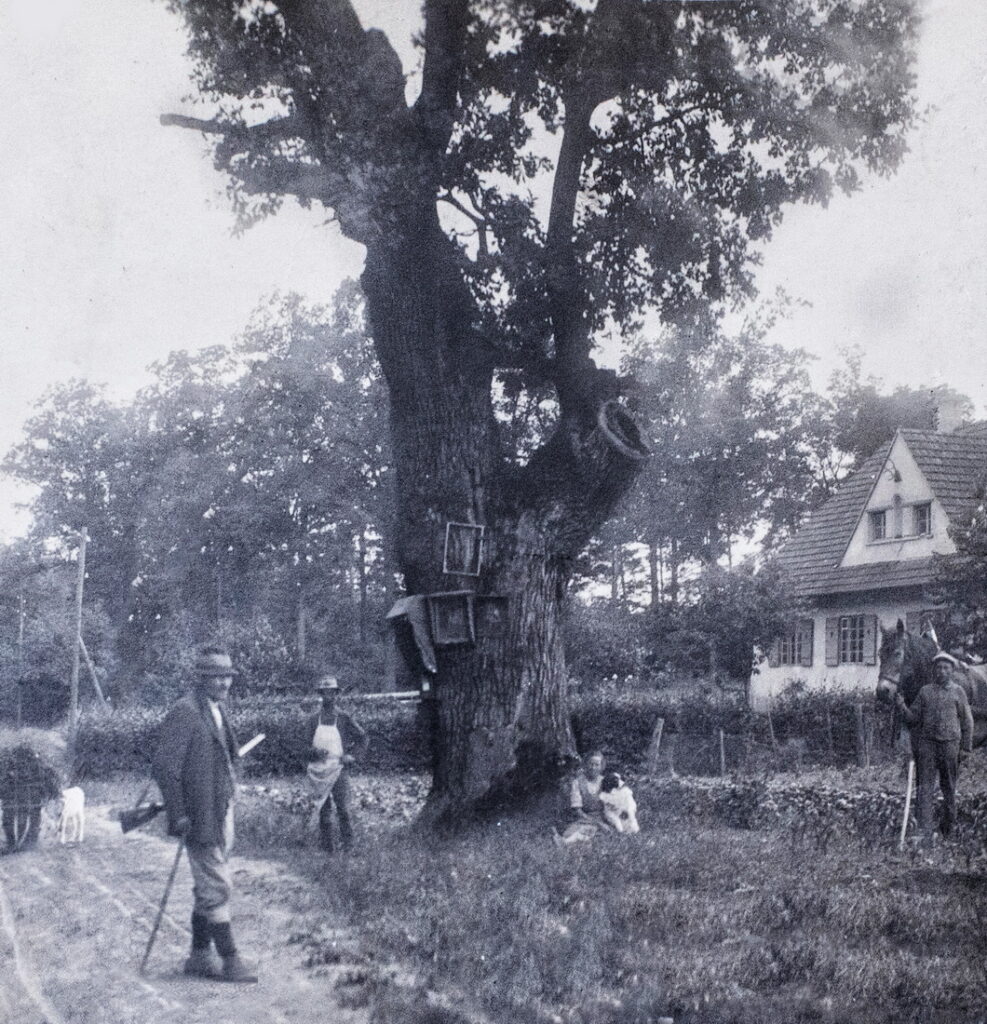 Karl Scheck, Anna Scheck, Postkarten, Sammelleidenschaft, Sammlergen, Region Wolkersdorf, Pillichsdorf, Weinviertel-Remasuri, ©Sammlung Karl Scheck, ©Regina Courtier, Alte Postkarten, Rowitha Lauda-Scheck