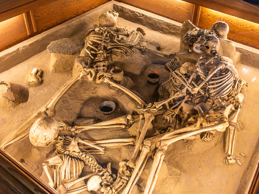©Regina Courtier,
Weinviertel-Remasuri,
Walpurga Antl-Weiser,
Wissenschaftlerin,
Urzeitmuseum Stillfried,
Archäologie,
Venus von Willendorf,
Sieben von Stillfried